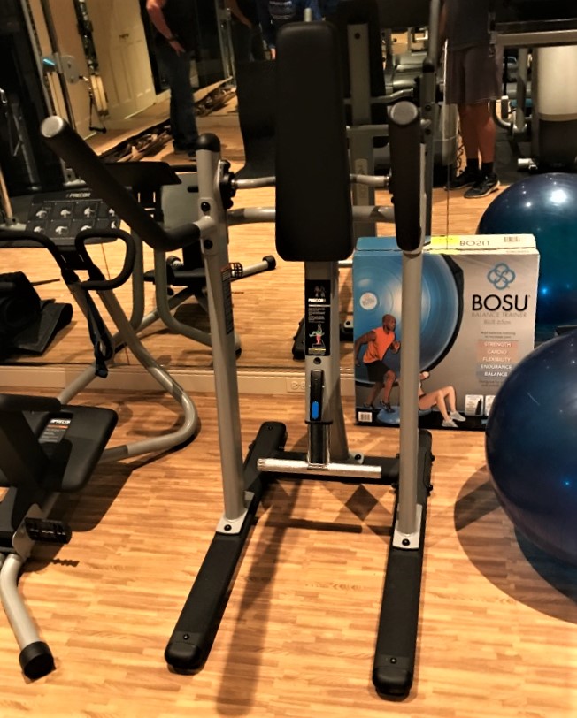 Transmotion Delivery Assembly Installation Relocation of a Precor V crunch Abdominal Trainer in Lake Forest IL Fitness Healthy Lifestyle Basement Gym Muscle Wisconsin Illinois Michigan Washington California